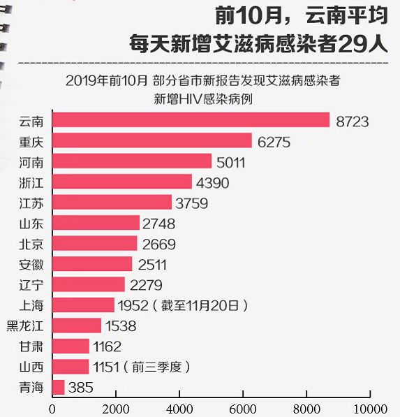 2024年11月 第74页